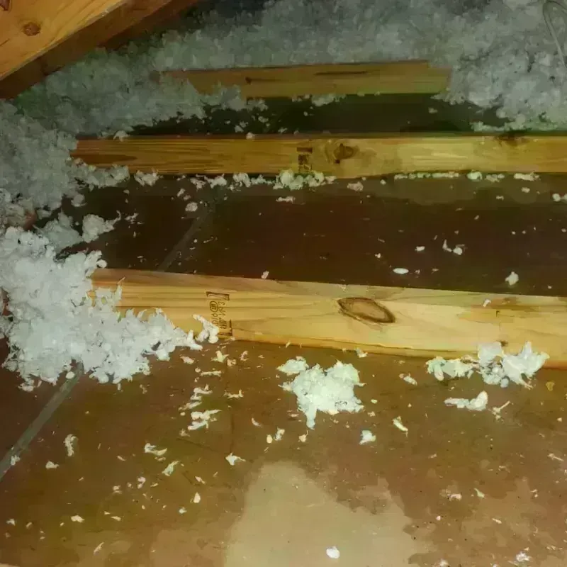 Attic Water Damage in San Fernando, CA